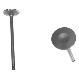 DNJ Engine Components® - Intake Valve