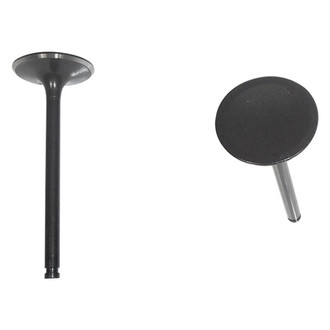 DNJ Engine Components® - Intake Valve
