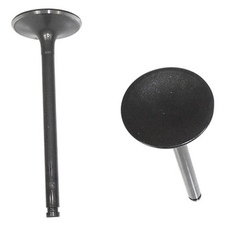 DNJ Engine Components® - Intake Valve
