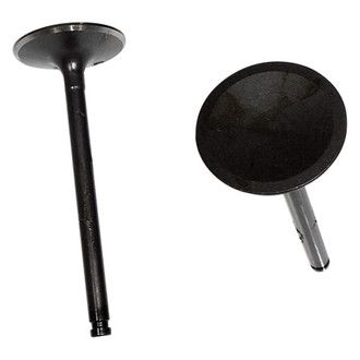 DNJ Engine Components® - Intake Valve