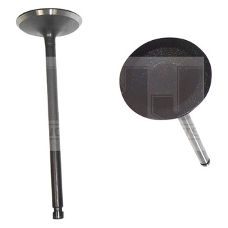 DNJ Engine Components® - Intake Valve