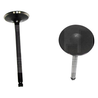 DNJ Engine Components® - Intake Valve