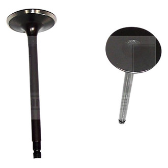 DNJ Engine Components® - Intake Valve