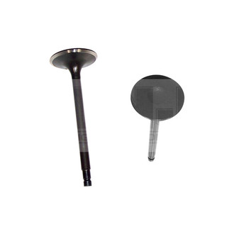 DNJ Engine Components® - Intake Valve