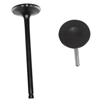 DNJ Engine Components® - Intake Valve