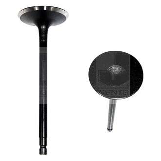 DNJ Engine Components® - Intake Valve