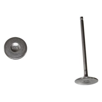 DNJ Engine Components® - Engine Valve