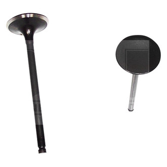 DNJ Engine Components® - Intake Valve