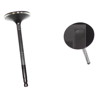 DNJ Engine Components® - Intake Valve