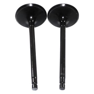 DNJ Engine Components® - Intake Valve
