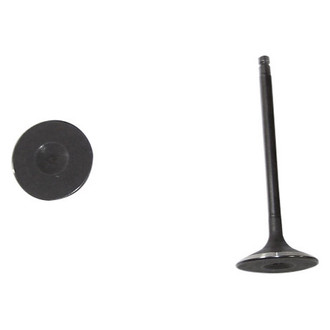 DNJ Engine Components® - Intake Valve