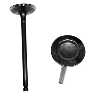 DNJ Engine Components® - Intake Valve