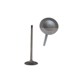 DNJ Engine Components® - Intake Valve