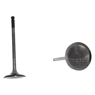 DNJ Engine Components® - Intake Valve