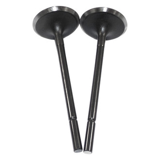 DNJ Engine Components® - Intake Valve