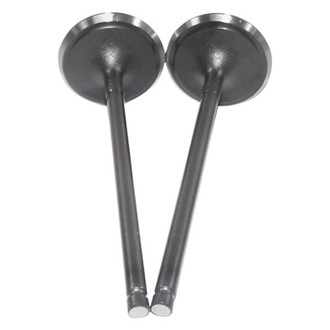 DNJ Engine Components® - Intake Valve