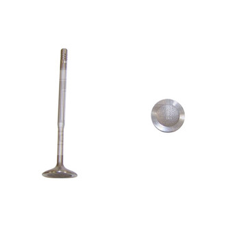 DNJ Engine Components® - Intake Valve