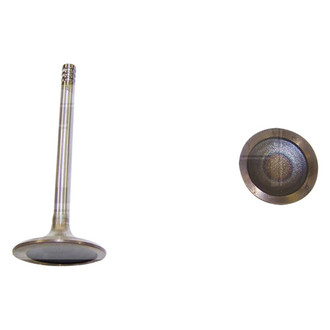 DNJ Engine Components® - Intake Valve