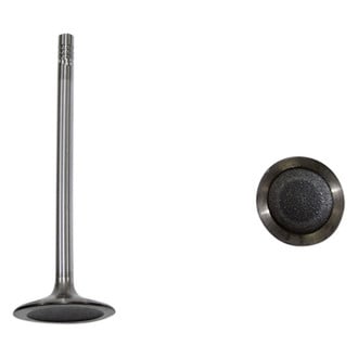 DNJ Engine Components® - Intake Valve