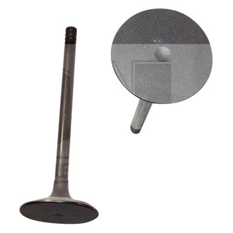 DNJ Engine Components® - Intake Valve
