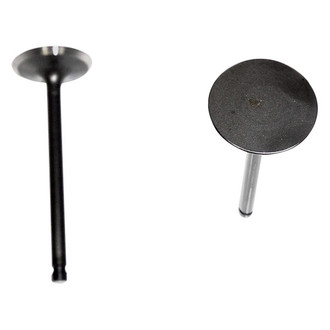 DNJ Engine Components® - Intake Valve