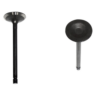 DNJ Engine Components® - Intake Valve