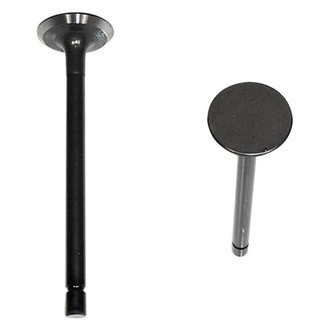 DNJ Engine Components® - Intake Valve