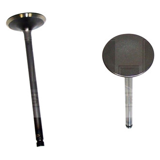 DNJ Engine Components® - Intake Valve