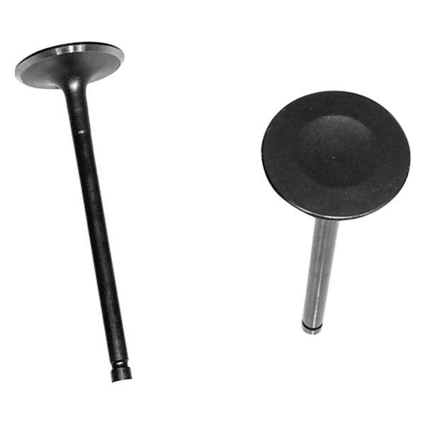 DNJ Engine Components® - Engine Intake Valve