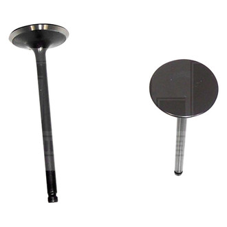 DNJ Engine Components® - Intake Valve