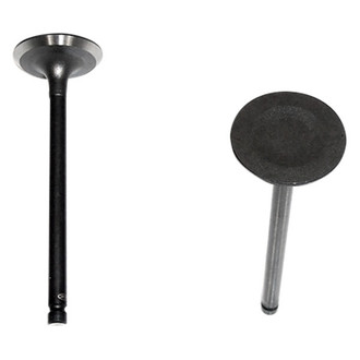 DNJ Engine Components® - Intake Valve