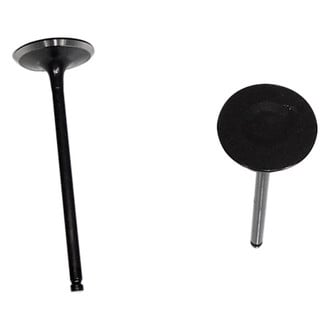 DNJ Engine Components® - Intake Valve
