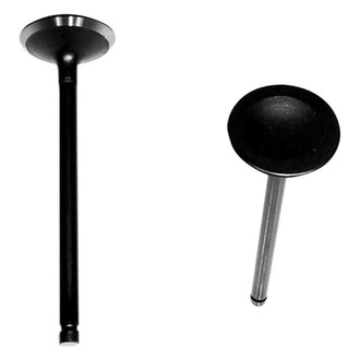 DNJ Engine Components® - Intake Valve