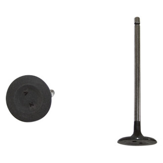 DNJ Engine Components® - Intake Valve