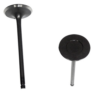 DNJ Engine Components® - Intake Valve