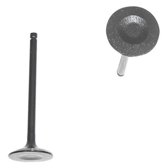 DNJ Engine Components® - Intake Valve