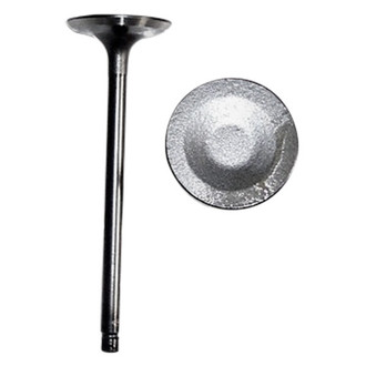 DNJ Engine Components® - Intake Valve