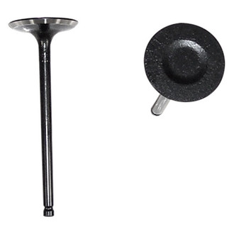 DNJ Engine Components® - Intake Valve