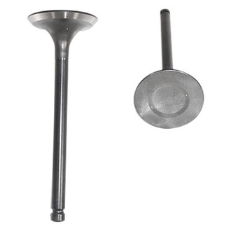 DNJ Engine Components® - Intake Valve