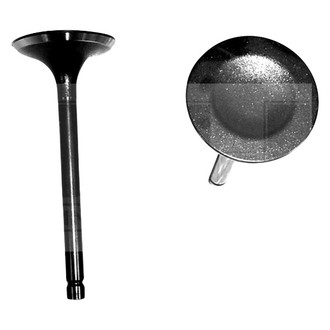 DNJ Engine Components® - Intake Valve