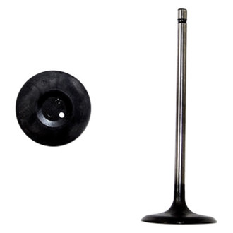 DNJ Engine Components® - Intake Valve