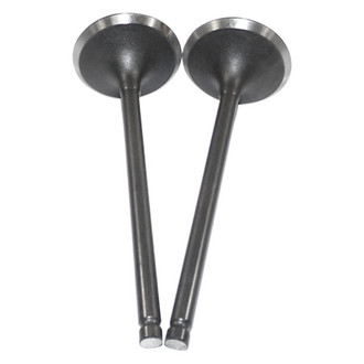 DNJ Engine Components® - Intake Valve