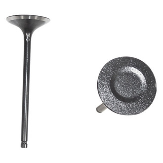 DNJ Engine Components® - Intake Valve