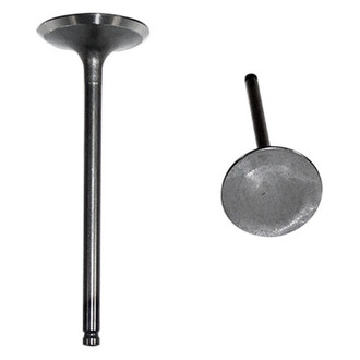 DNJ Engine Components® - Intake Valve