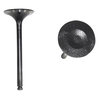 DNJ Engine Components® - Intake Valve