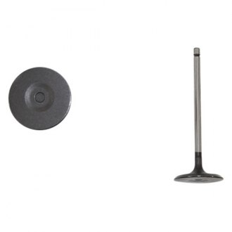 DNJ Engine Components® - Engine Valve