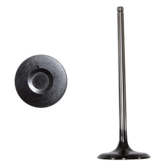DNJ Engine Components® - Intake Valve