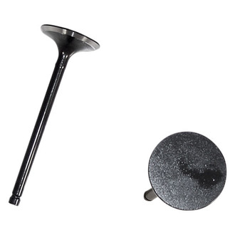 DNJ Engine Components® - Intake Valve