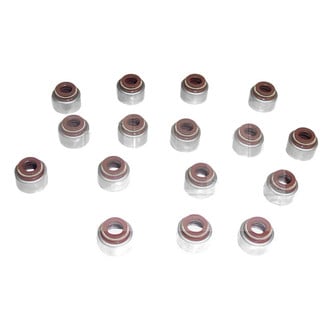 DNJ Engine Components® - Valve Stem Oil Seal Set