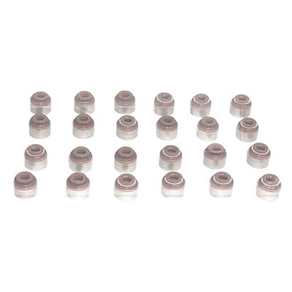 DNJ Engine Components® - Valve Stem Oil Seal Set